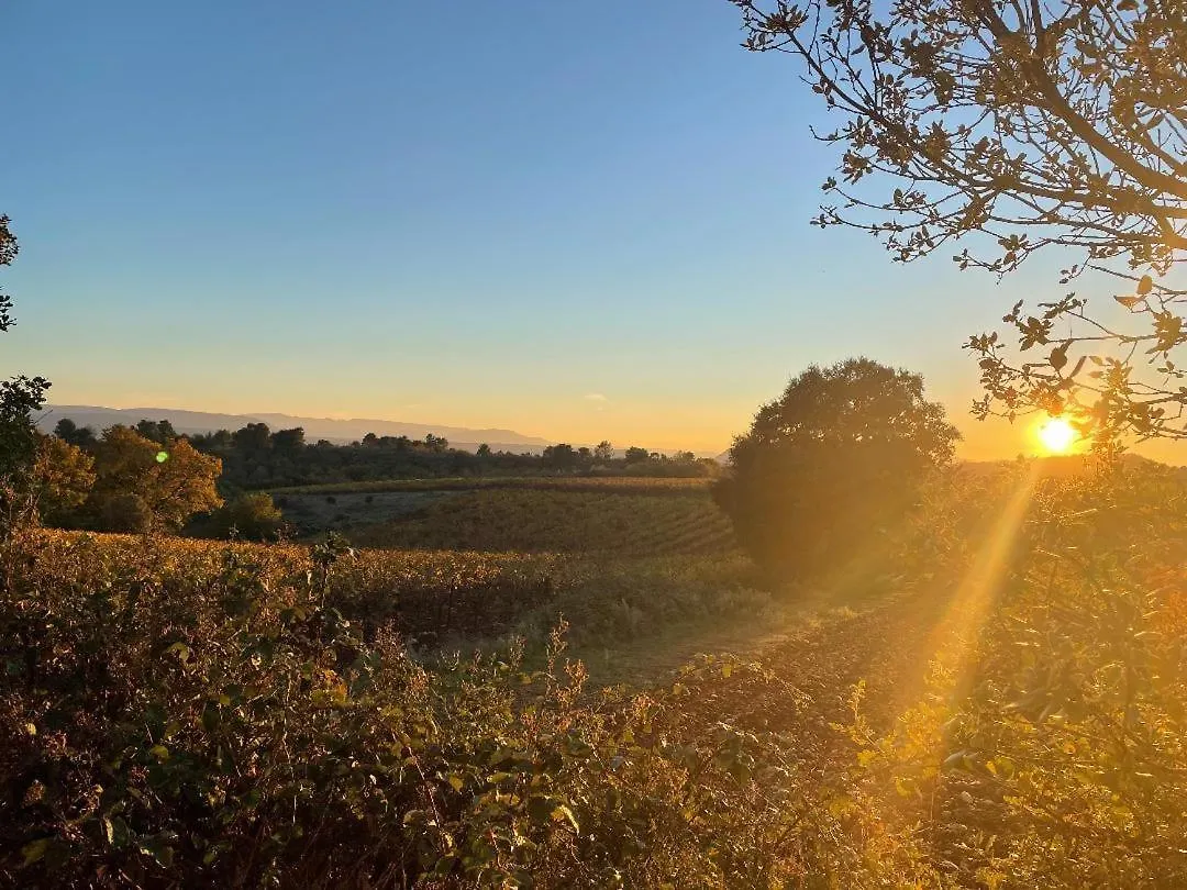 Gite Les Robiniers Beaumont-de-Pertuis